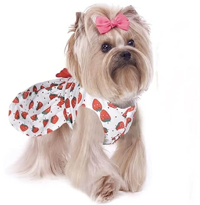 KUTKUT Cute Daisy Pattern Dog Dress with Lovely Bow Pet Apparel Dog Clothes for Small Dogs and Cats | Puppy Summer Dress Birthday Pet Apparel Dress-Clothing-kutkutstyle